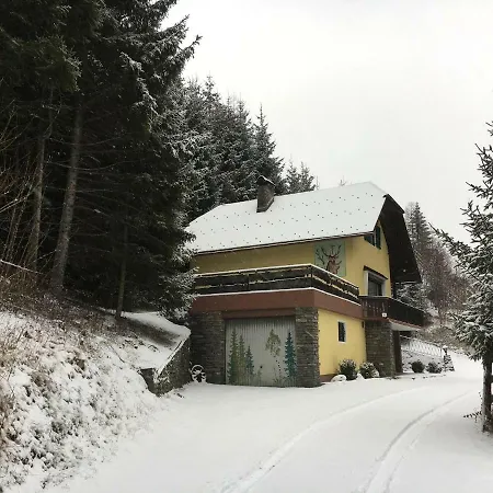 Ferienhaus Chalet Waldplatzl Zederhaus