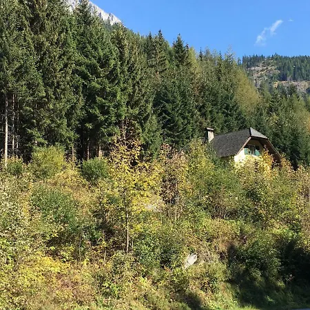 Ferienhaus Chalet Waldplatzl *