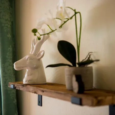 度假居 Ferienhaus Chalet Waldplatzl *